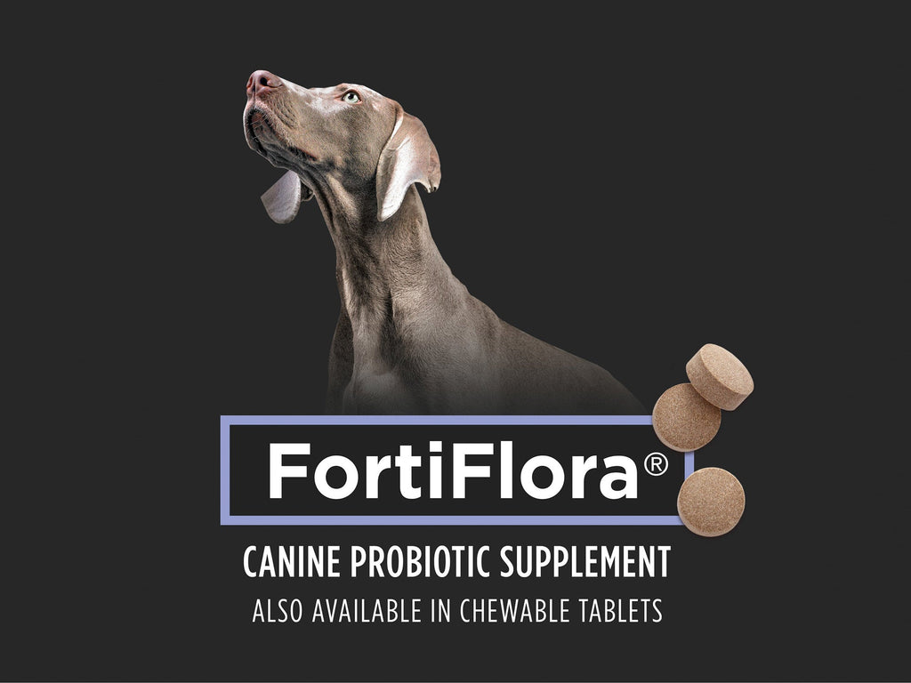 Purina Pro Plan Veterinary Supplements FortiFlora Dog Probiotic Supplement, Canine Nutritional Supplement - 30 ct. Box