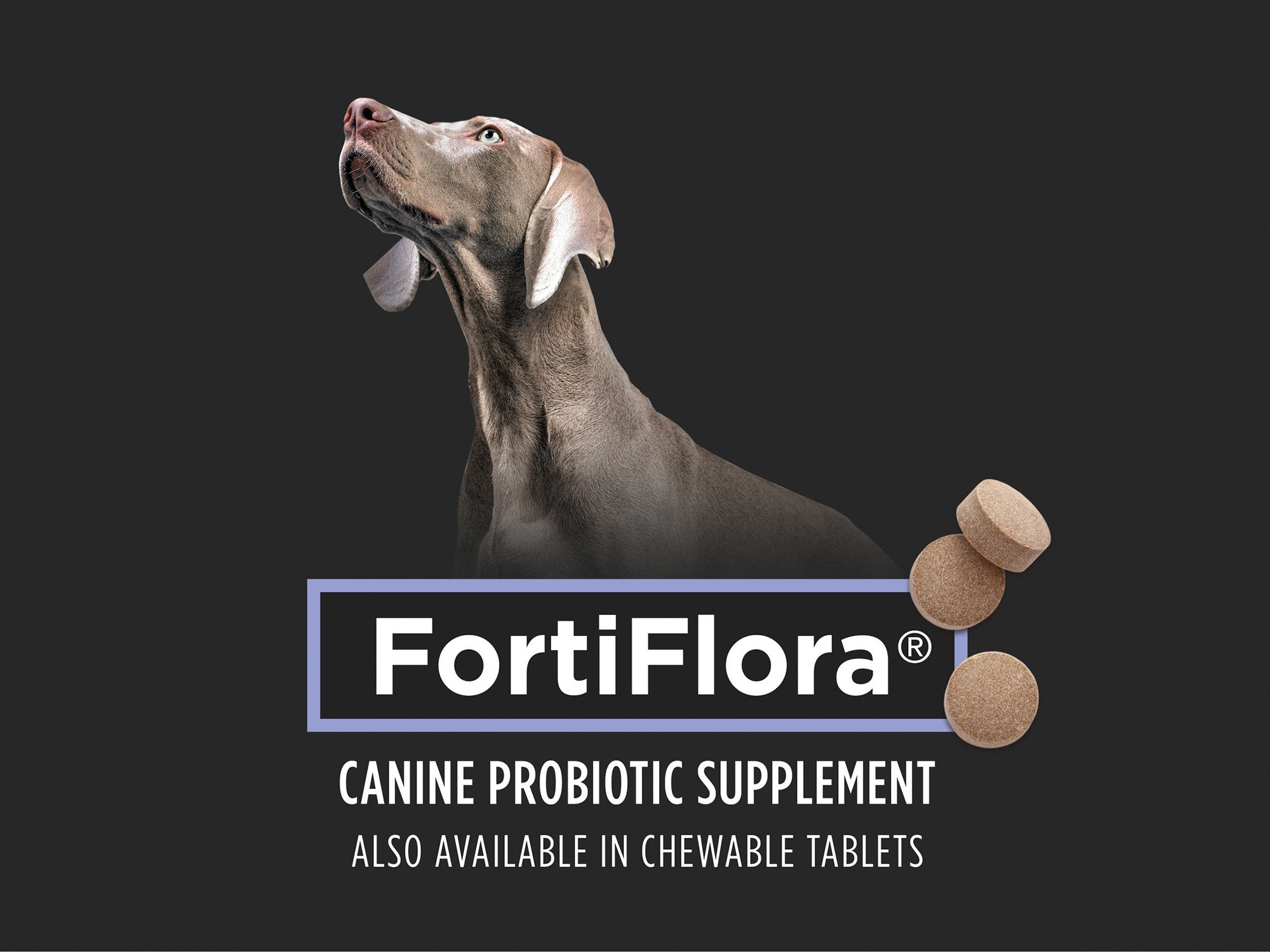 Purina Pro Plan Veterinary Supplements FortiFlora Dog Probiotic Supplement, Canine Nutritional Supplement - 30 ct. Box