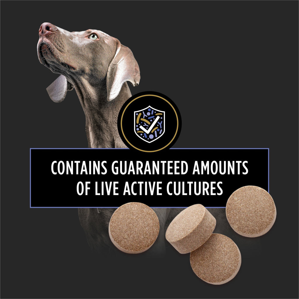 Purina Pro Plan Veterinary Supplements FortiFlora Chewable Dog Probiotic Supplement Tablets - 45ct Canister