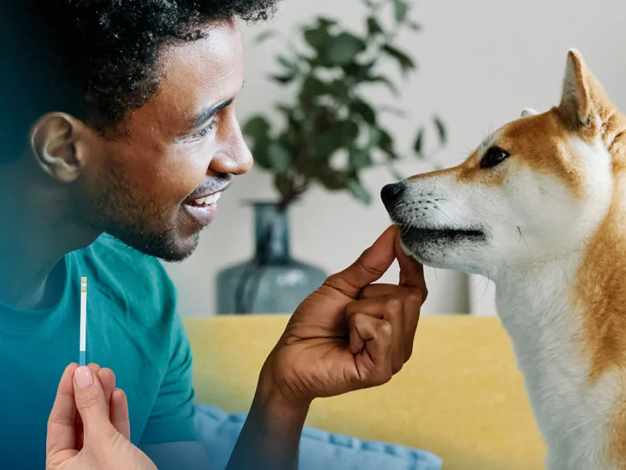 Petivity At-Home Kidney Health Test for Dogs - 1CT