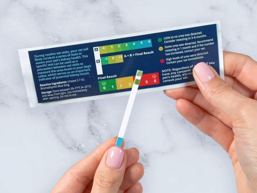 Petivity At-Home Kidney Health Test for Dogs - 1CT