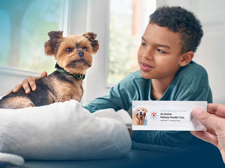 Petivity At-Home Kidney Health Test for Dogs - 1CT