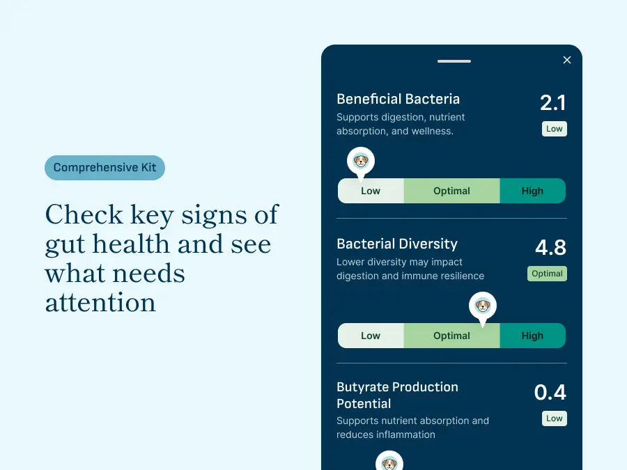 Microbiome Analysis Kit - Comprehensive