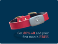 Petivity Smart GPS + Activity Tracker for Dogs