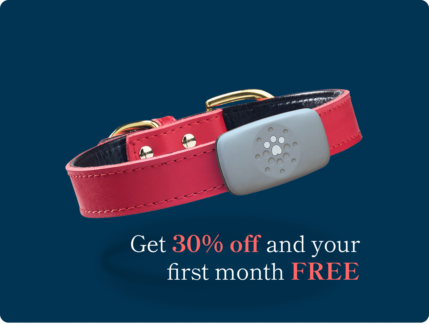 Petivity Smart GPS + Activity Tracker for Dogs