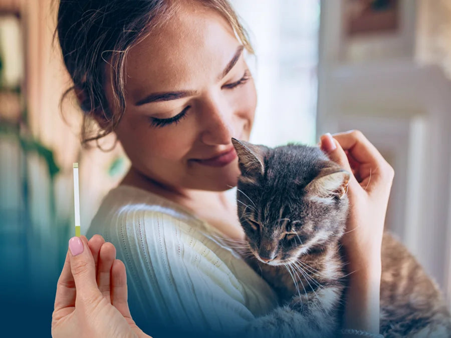Petivity At-Home Kidney Health Test for Cats - 3CT