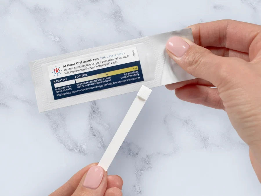 At-Home Oral Health Test for Cats & Dogs - 1CT