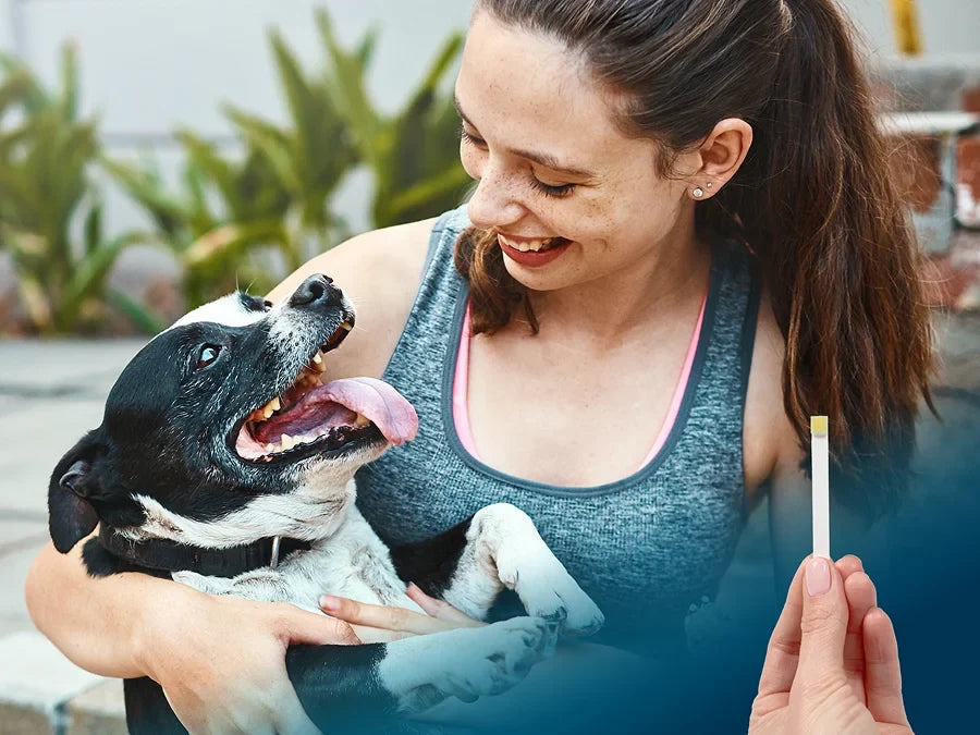 At-Home Oral Health Test for Cats & Dogs - 1CT