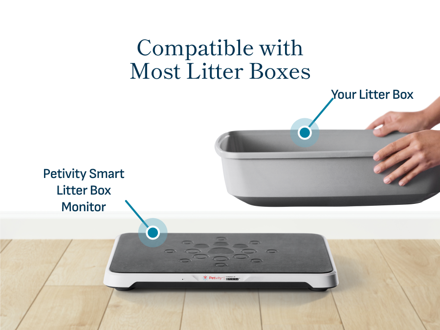 Smart Litter Box Monitor System