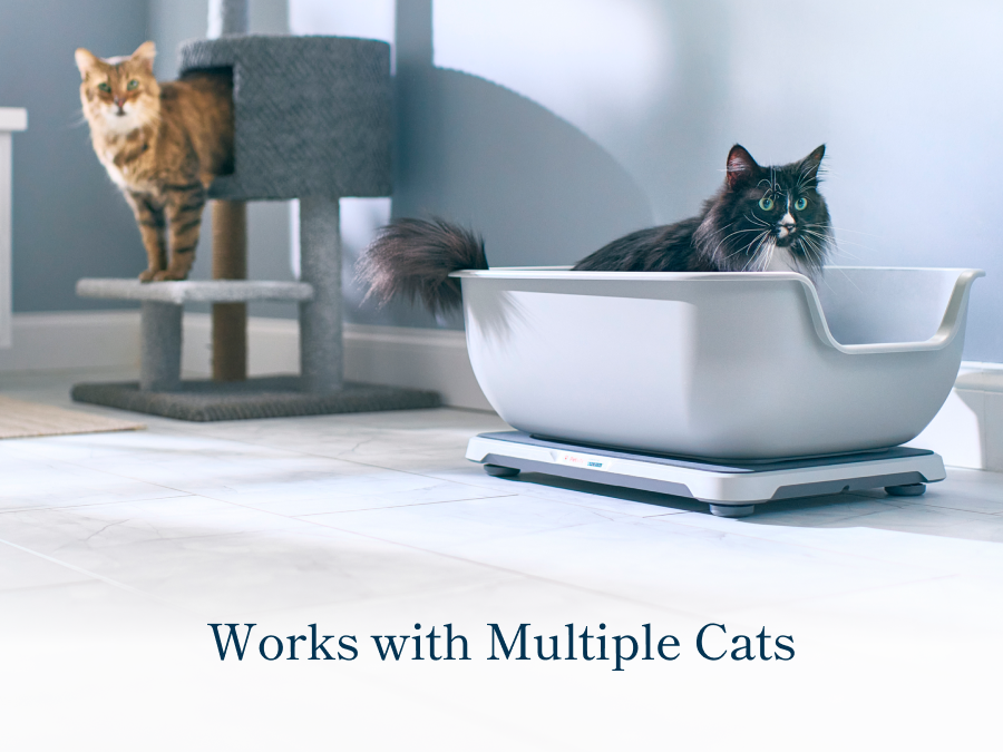 Smart Litter Box Monitor System