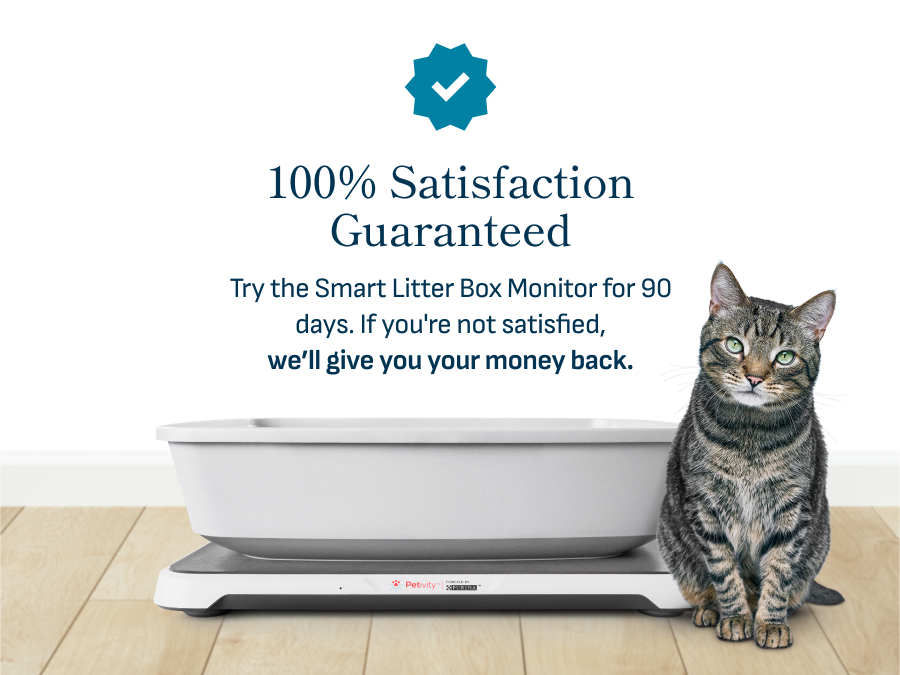 Smart Litter Box Monitor System