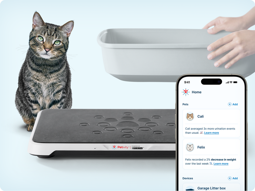 Smart Litter Box Monitor System