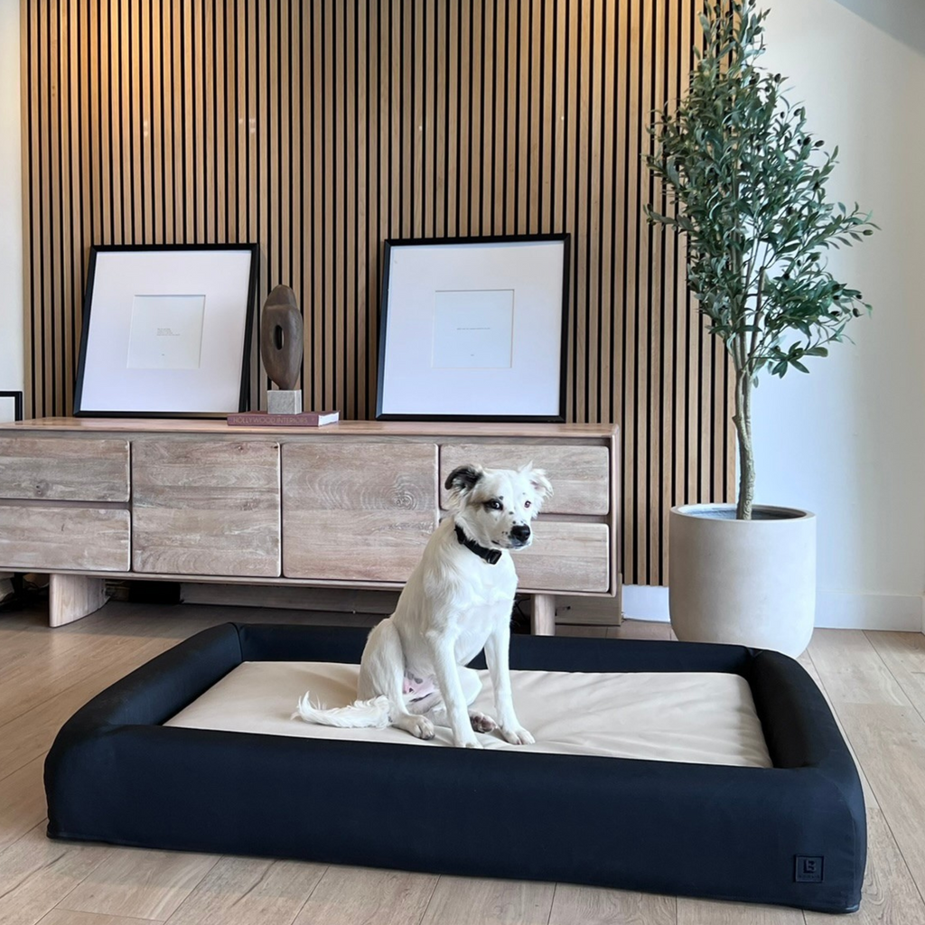 SIGNATURE BOLSTER