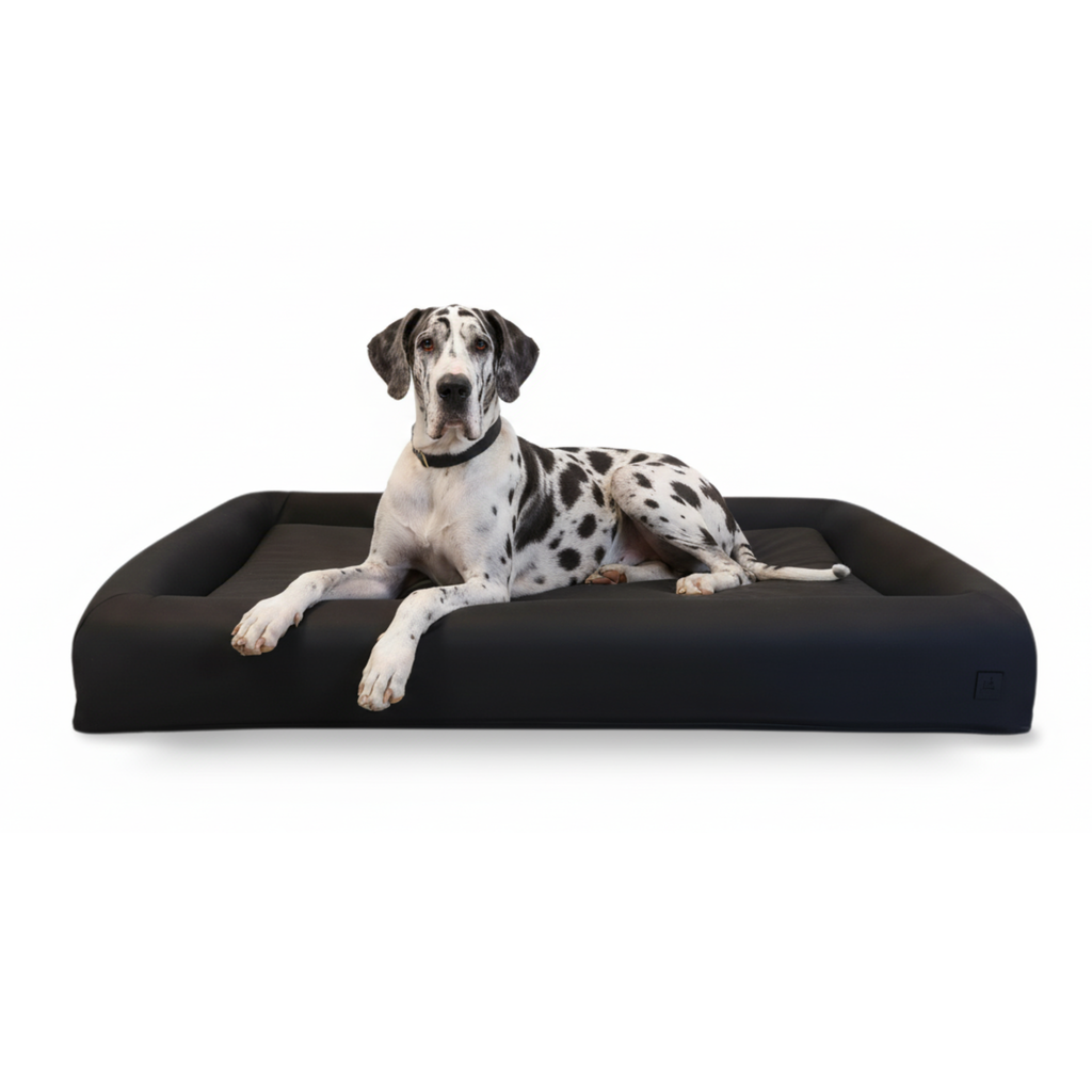 SIGNATURE BOLSTER