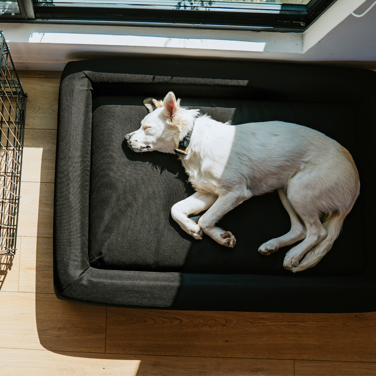 SIGNATURE BOLSTER - Microsuede