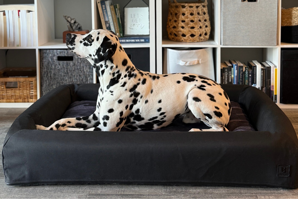 SIGNATURE BOLSTER - Microsuede
