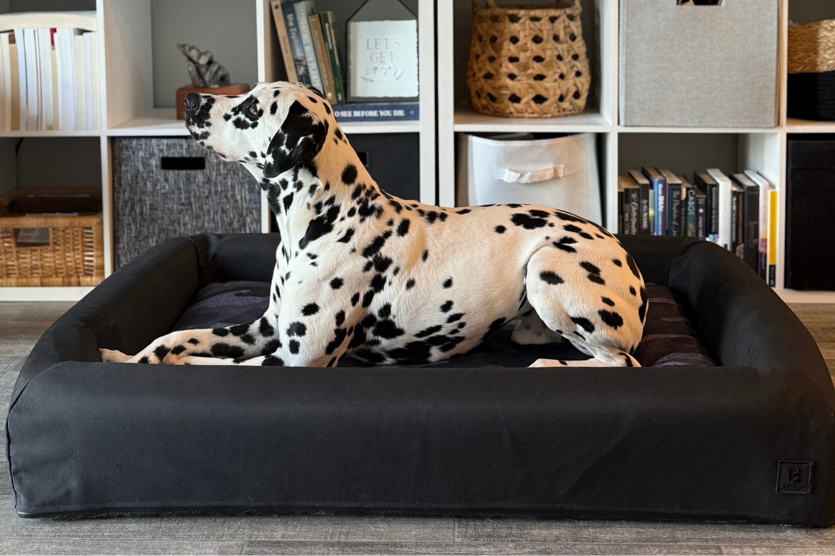 SIGNATURE BOLSTER
